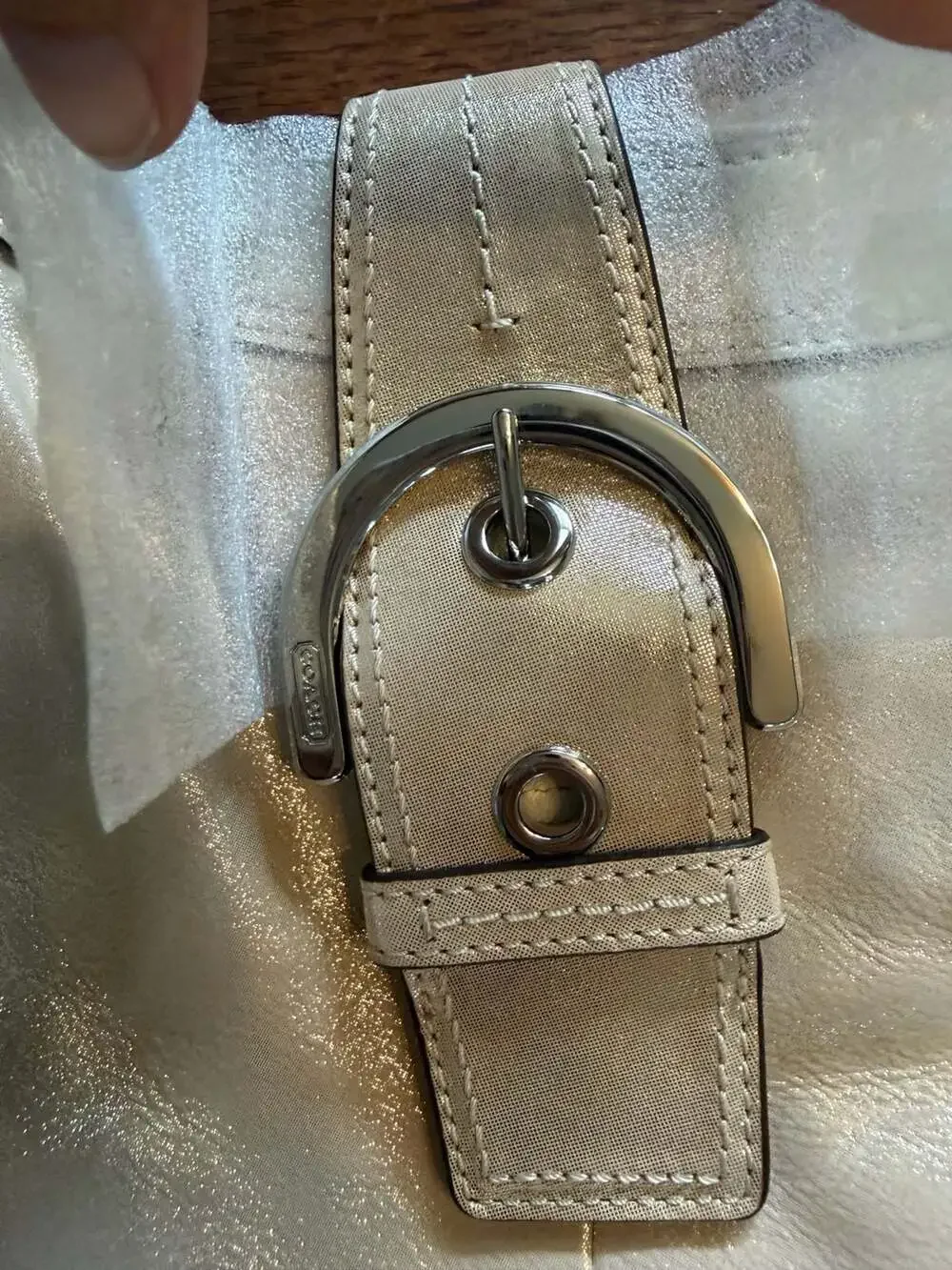 Authentic Coach Lynn Soho Hobo – Metallic Champagne | Never Carried